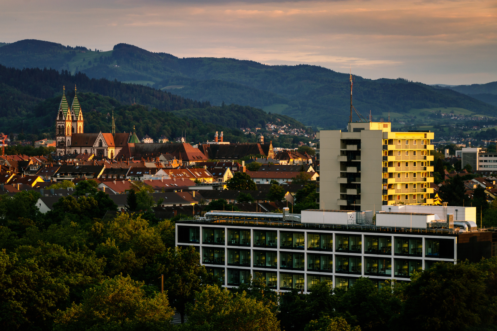 ISBA (Internationale Berufsakademie Freiburg) | myStipendium